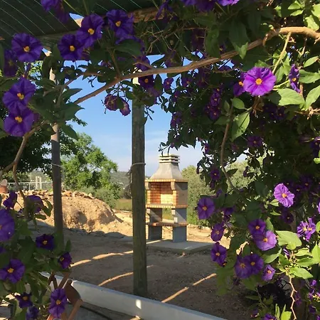 度假居 Casa Alto Dos Agostos Palhagueira